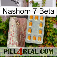 Rhino 7 Beta new13
